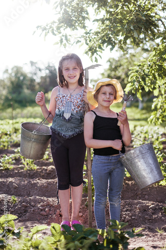 Portrait of two pre-teen girls working in  summer vegetable garden