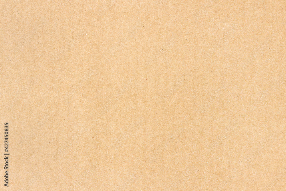 The surface of a flat cardboard sheet. Uniform light brown texture. The surface of a flat cardboard sheet. Uniform light brown texture.