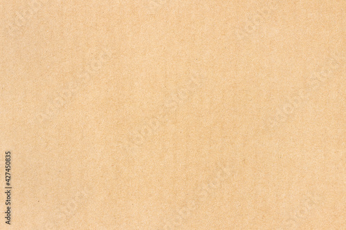 The surface of a flat cardboard sheet. Uniform light brown texture.