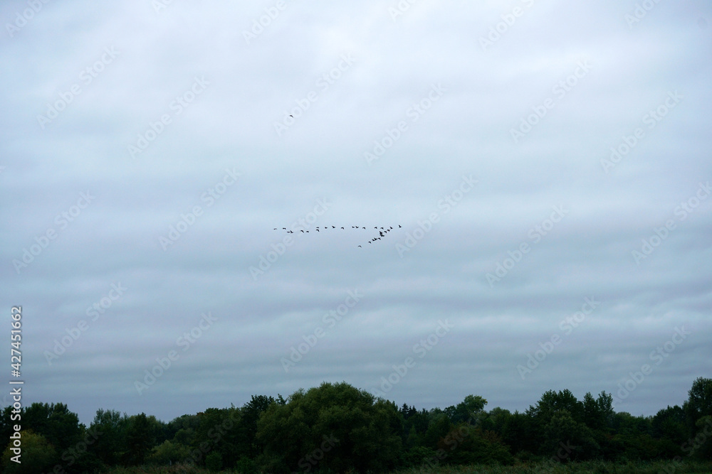 Landscape pictures with clouds and birds outdoors in Germany photographed and edited in daylight Landscape pictures with clouds and birds outdoors in Germany photographed and edited in daylight