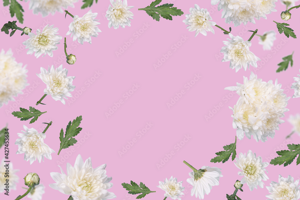 Beautiful spring or summer layout with flying white flowers and leaves on pastel pink background, trendy floral frame Beautiful spring or summer layout with flying white flowers and leaves on pastel pink background, trendy floral frame