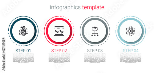 Set Bacteria, Automatic irrigation sprinklers, Genetically modified food and Atom. Business infographic template. Vector