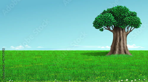 Old oak tree on a green field landscape