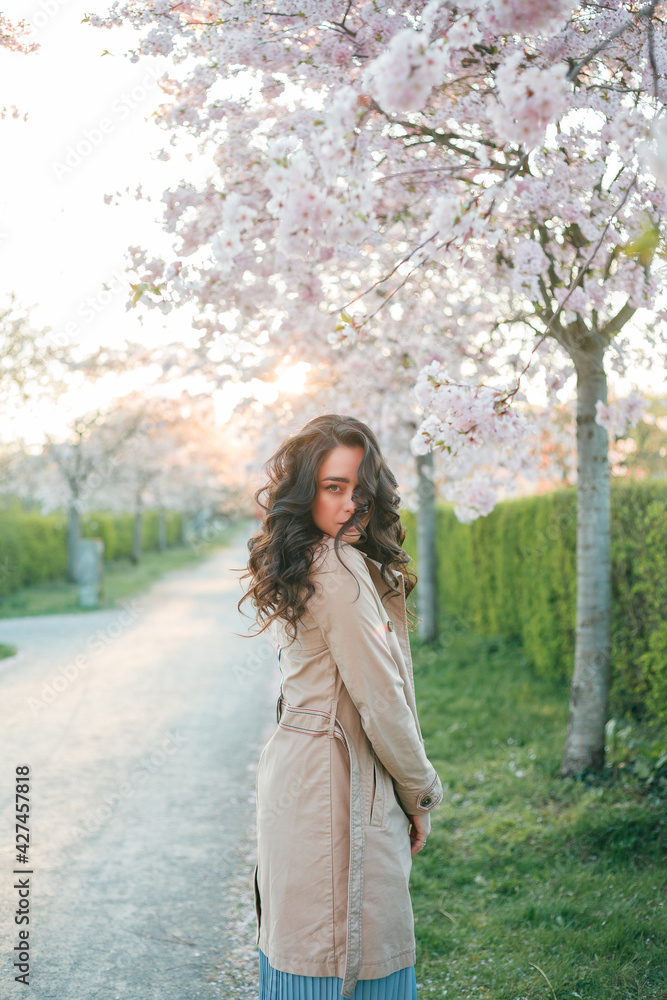 Portrait of a beautiful young woman in blooming sakura at sunset. Spring. Portrait of a beautiful young woman in blooming sakura at sunset. Spring.
