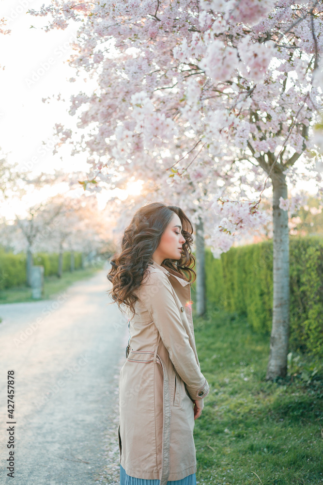 Portrait of a beautiful young woman in blooming sakura at sunset. Spring.