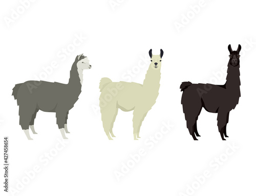 llama Lama glama Flat vector illustrations Isolated objects