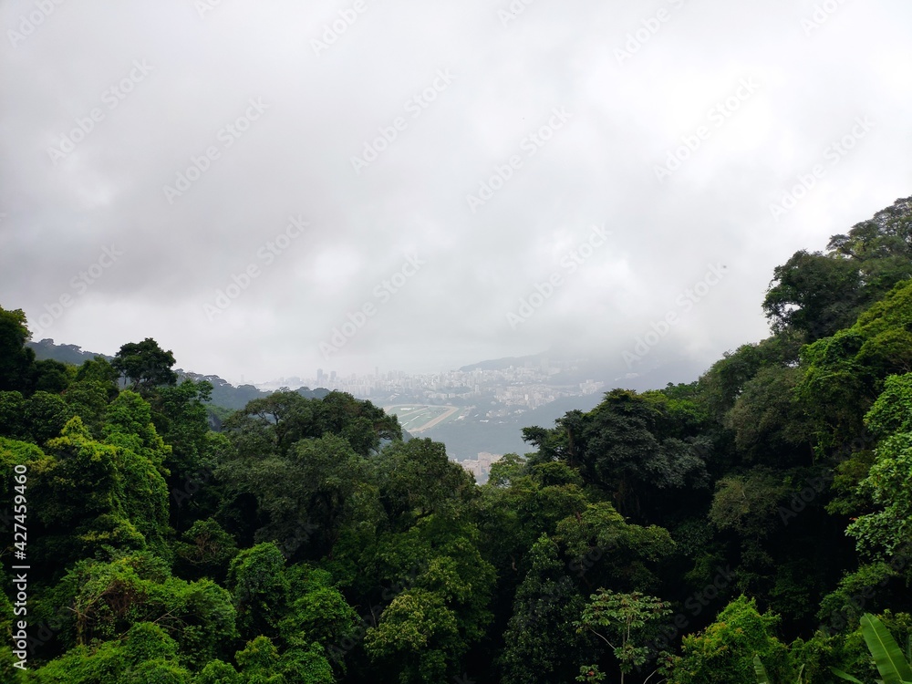 Floresta Floresta