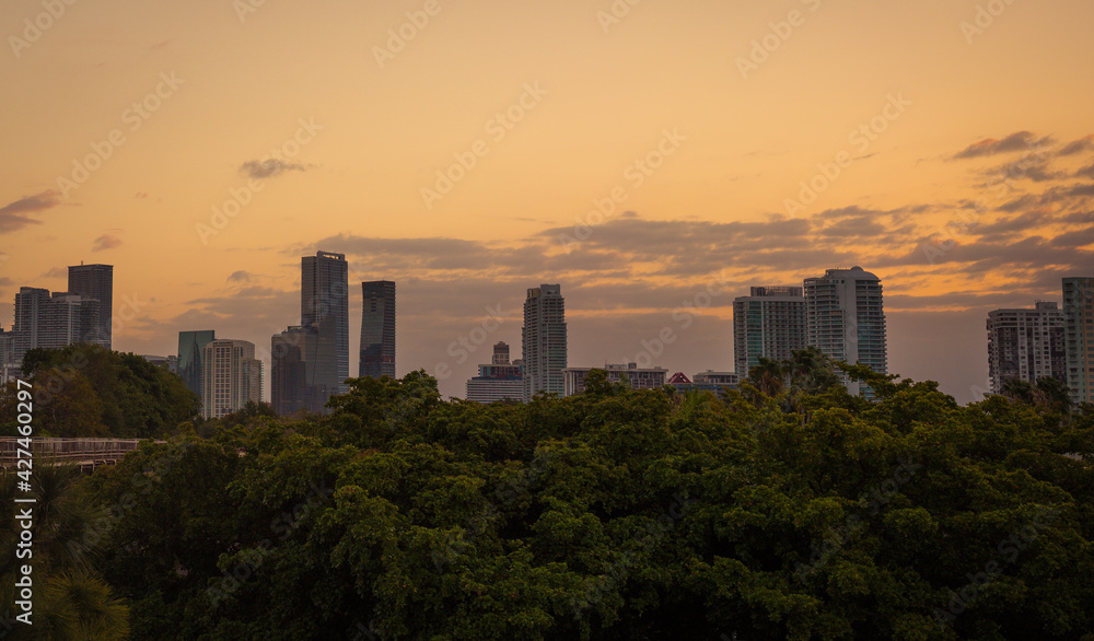 Fototapeta premium city skyline at sunset Miami Florida trees horizon buildings 