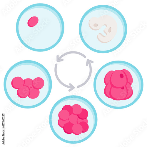 Embryo Culture Concept Vector color Icon Design, In Vitro Fertilization Symbol on White Background, Pregnancy and obstetrician Sign, test tube baby procedure stock illustration