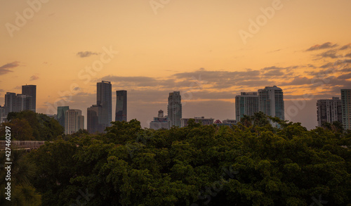 city skyline at sunset Miami Florida trees horizon buildings 