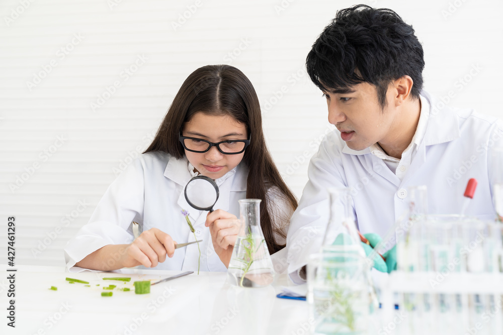 Asian man scientists and child girl doing tests of plants with magnifying in classroom. Group of scientists learning science and doing analysis for germs and bacteria with microscope and glassware Asian man scientists and child girl doing tests of plants with magnifying in classroom. Group of scientists learning science and doing analysis for germs and bacteria with microscope and glassware