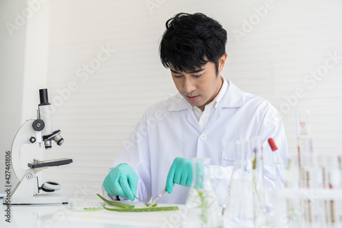 Asian man scientists tests of plants with microscope and glassware in laboratory. Scientists doing analysis for germs and bacteria in the laboratory. Researcher and discovery concept photo
