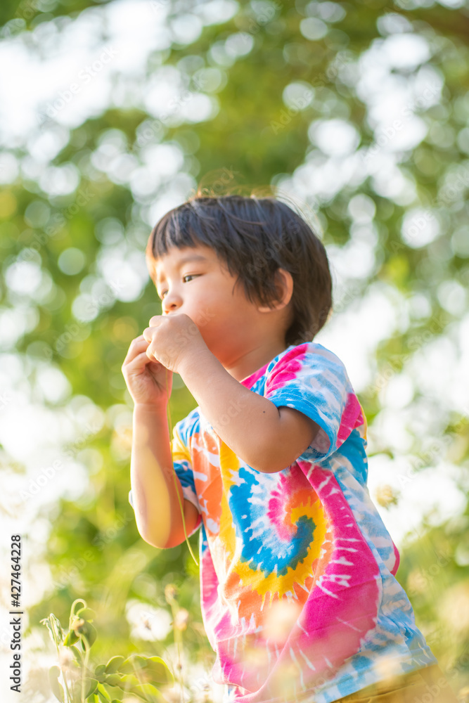 Asian boy playinng grass flower sunset light in outdoor park Asian boy playinng grass flower sunset light in outdoor park