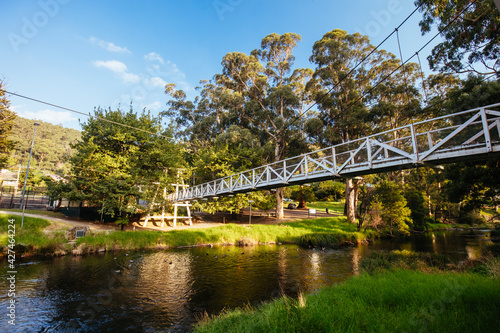Swing Bridge in Warburton Australia © FiledIMAGE