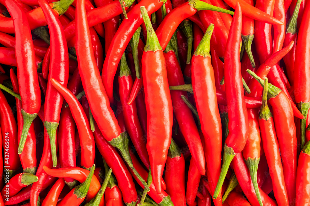 A pile of fresh red hot chili peppers, the important ingredient used in many cuisines, especially Thai food to add the heat to dishes. The image can also be used as background. 