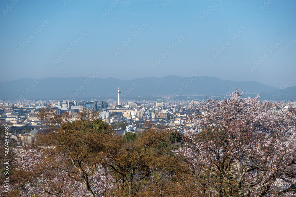 日本 京都 清水寺の春と桜景色