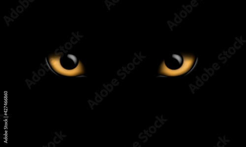 Orange cat eyes with light reflection on black background, vector
