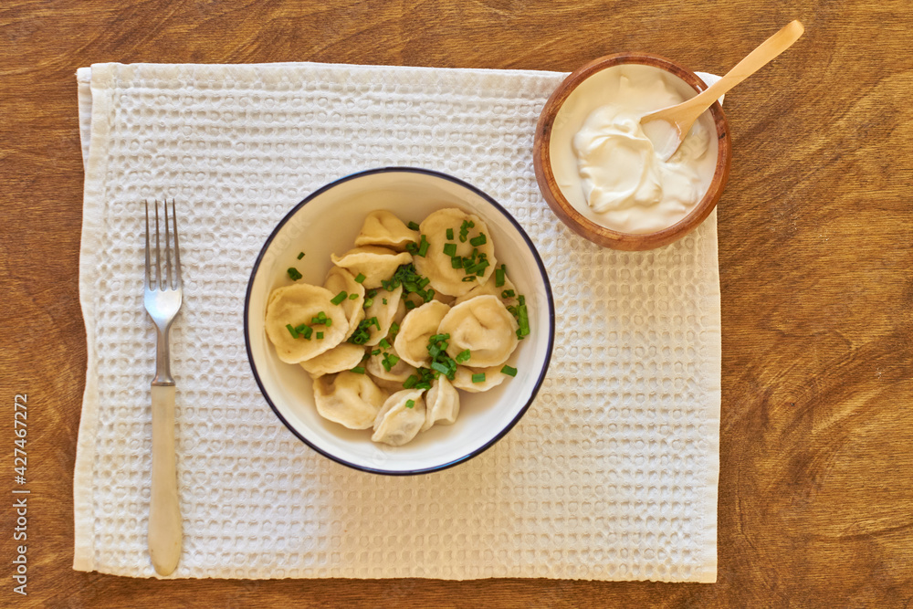 Dumplings with green onions and sour cream. Top View. Dumplings with green onions and sour cream. Top View.