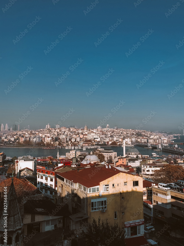 Panoramic view of the houses and rooftops of the city of Istanbul