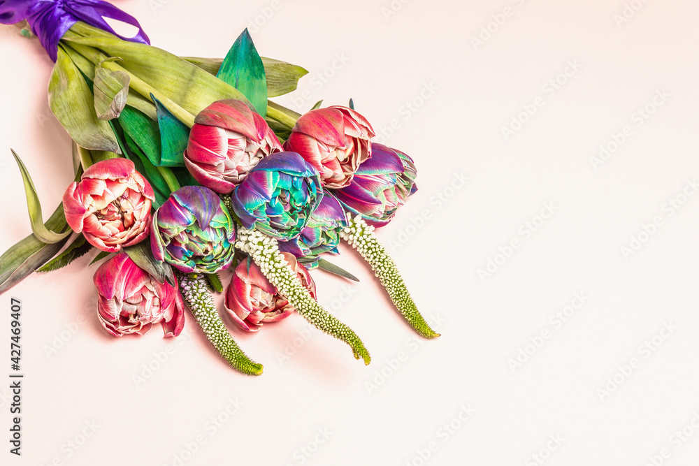 A bouquet of unusual multicolored tulips on pastel pink background