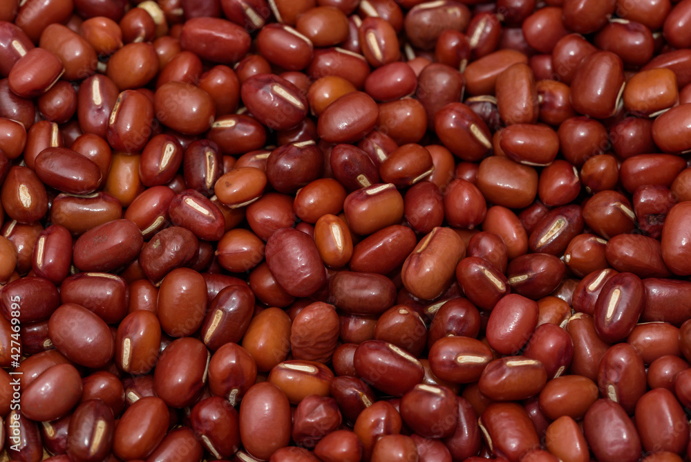 Azuki beans are also called red mung beans Azuki beans are also called red mung beans