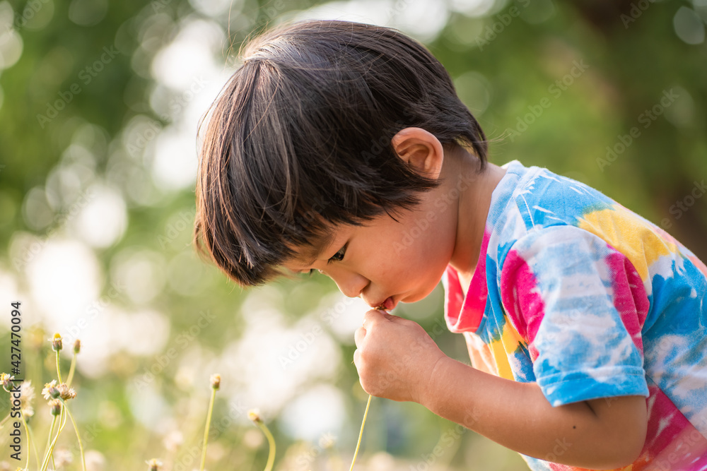 Asian boy playinng grass flower sunset light in outdoor park