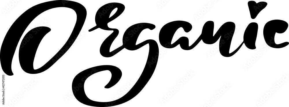 Fototapeta premium Organic lettering. Modern brush calligraphy. Vector typography banner.