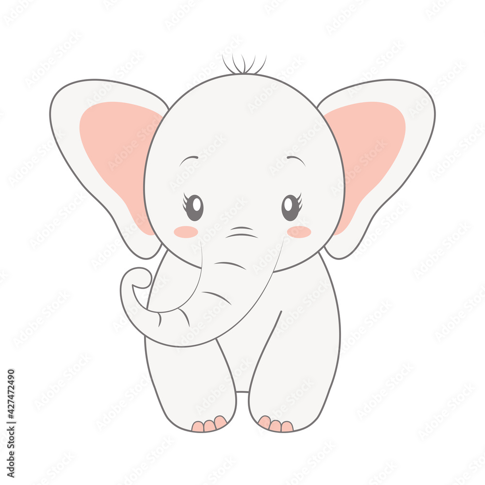 baby elephant isolated