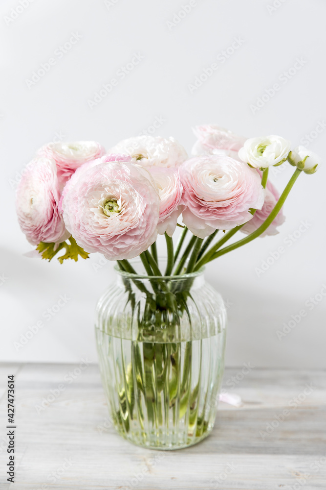 he Bouquet of pale pink Persian buttercups isolated on pale gray. he Bouquet of pale pink Persian buttercups isolated on pale gray.