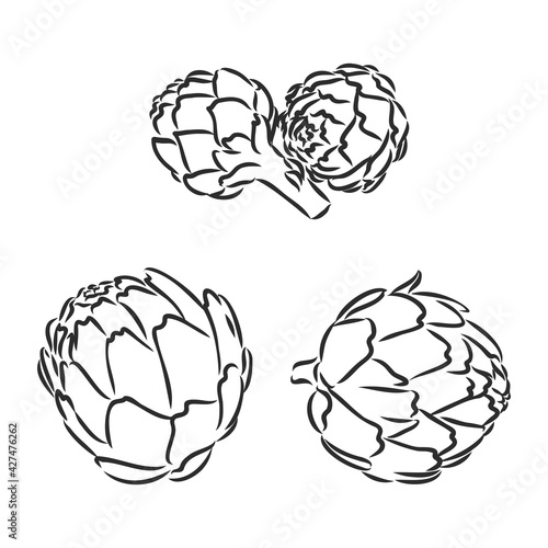vector set of engraving illustration green vegetables artichoke on white background