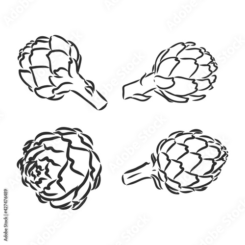 vector set of engraving illustration green vegetables artichoke on white background