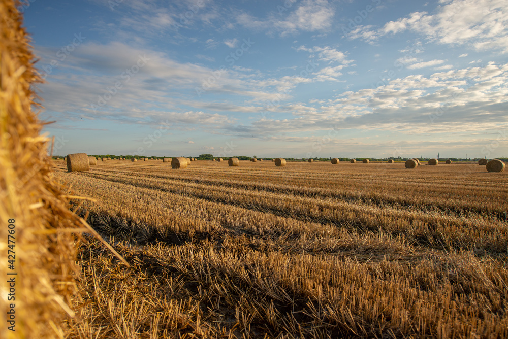 Peaceful rural field at Autumn 