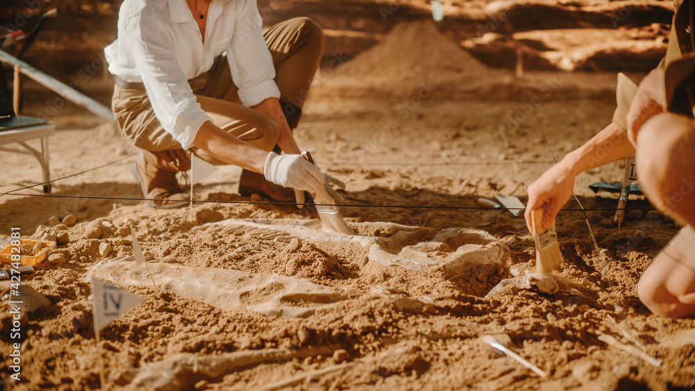 Archaeological Digging Site Two Great Paleontologists Cleaning Newly