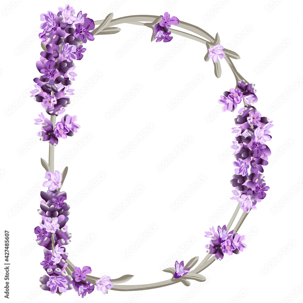 vector image of the capital letter D of the English alphabet in the form of lavender