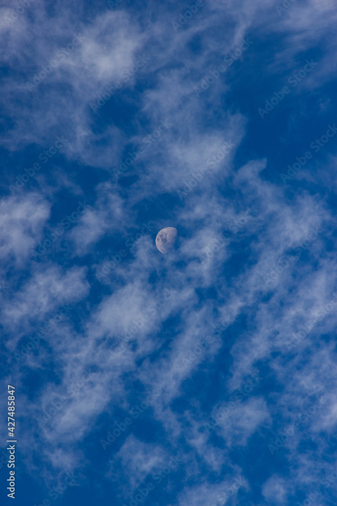 la palmera y la luna la palmera y la luna