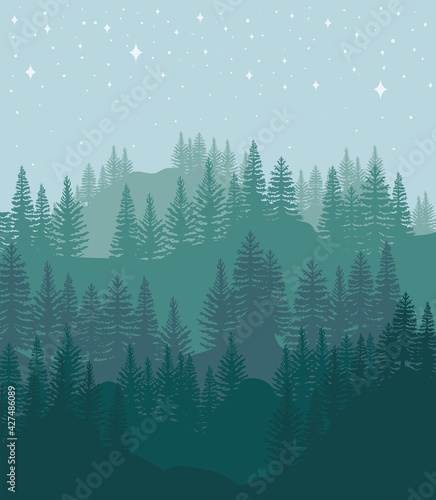 forest and stars