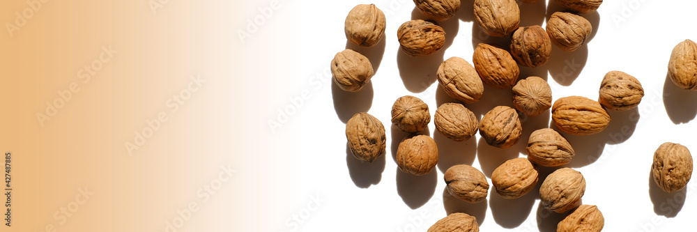 Walnuts. nuts banner. Whole walnuts on a white background with a brown gradient. Healthy fats. A healthy snack. Walnuts. nuts banner. Whole walnuts on a white background with a brown gradient. Healthy fats. A healthy snack.