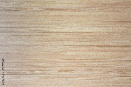 Texture of wood background closeup, Wood texture. Surface of wood background for design and decoration