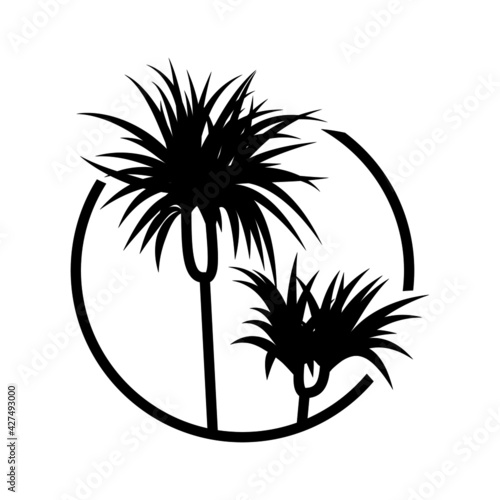 A plant in the circle, palm, dracena, potted plant, leaves in the circle, plant breeding, circle icon.