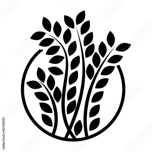 A plant icon, zamioculcas zamiifolia, plant inside the circle, flower logo, isolated element