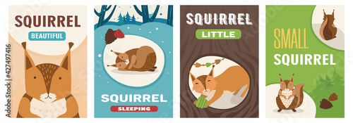 Creative poster collection with cute little cartoon squirrel character. Vivid brochures with mammal with nut sleeping in forest in winter, sitting. Wildlife, nature concept for poster or flyer