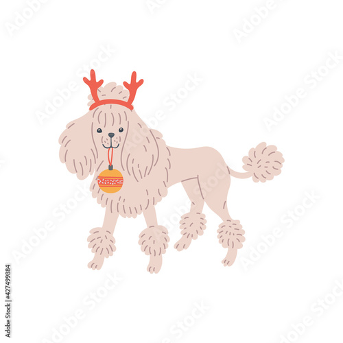 White dog poodle with deer antlers and christmas tree ball a vector illustration
