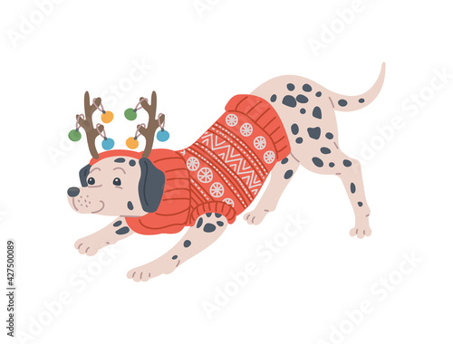 Christmas dog in red pattern sweater and deer horns decorated with color balls