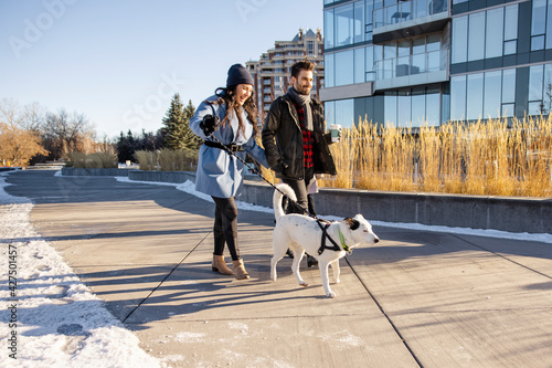 Couple walking dog on leash in sunny urban winter park