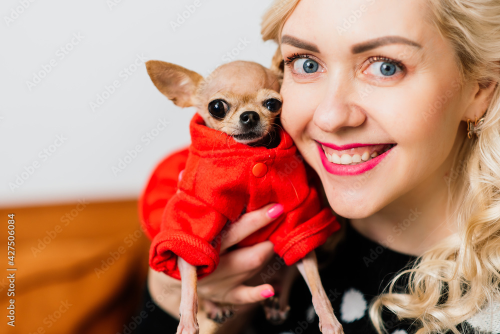 Portrait of a female in dark clothes with a little dog together over light christmas background Portrait of a female in dark clothes with a little dog together over light christmas background
