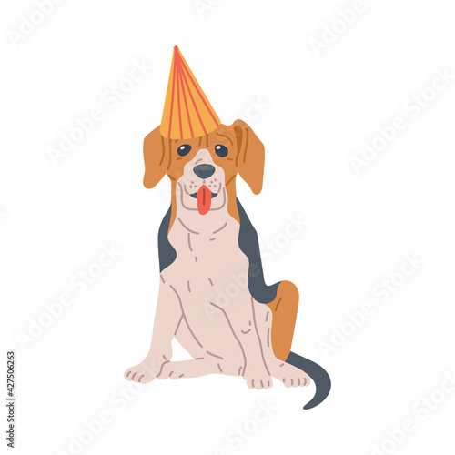 Funny dog sitting in birthday party hat, flat vector illustration isolated.