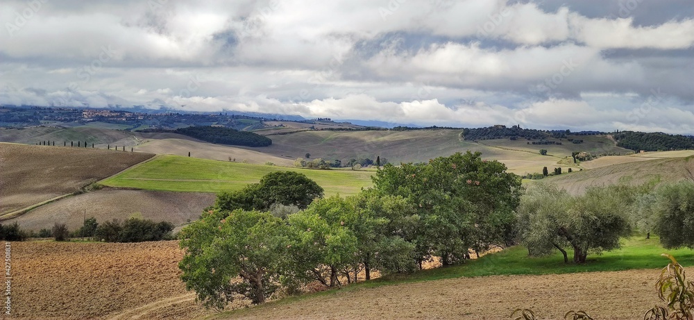 Naklejka premium Tuscany landscape, Travel in Italy