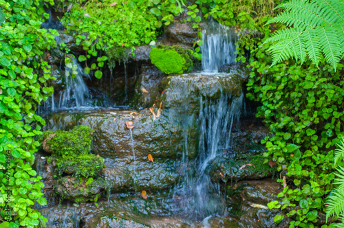 Fresh waterfall design decorated in house garden.