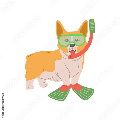 Cute dog breed pembroke welsh corgi, purebred pet with diving goggles and mask