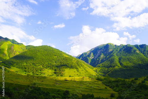 Green gorge of the Cherek-Bezengi river near the village of Bezengi